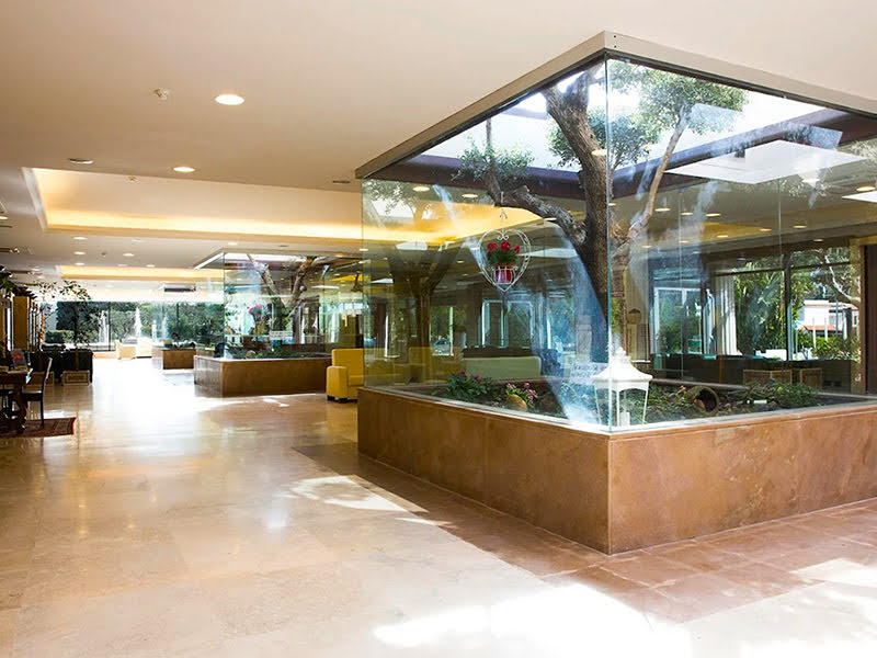 Hall con acquario decorativo e luce naturale
